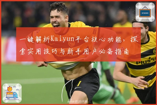 一键解析Kaiyun平台核心功能，探索实用技巧与新手用户必备指南